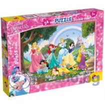 me10943_puzzle-df-plus-24-princess.jpg