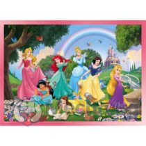 me10962_puzzle-df-supermaxi-24-princess.jpg