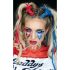 TGS-H18-07 Бижута за лице Harley Quinn