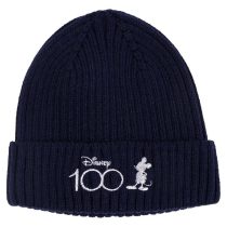 2200009968 Шапка Трико Disney 100