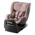 Стол DUALFIX PRO M BR Dusty Rose 25