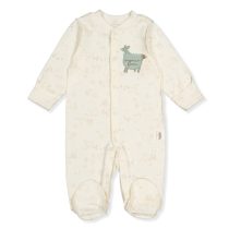 T3870 Гащеризон farm Мента 3-6м/68см
