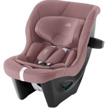 Стол MAX-SAFE PRO BR Dusty Rose