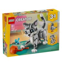 31163 Игрива котка